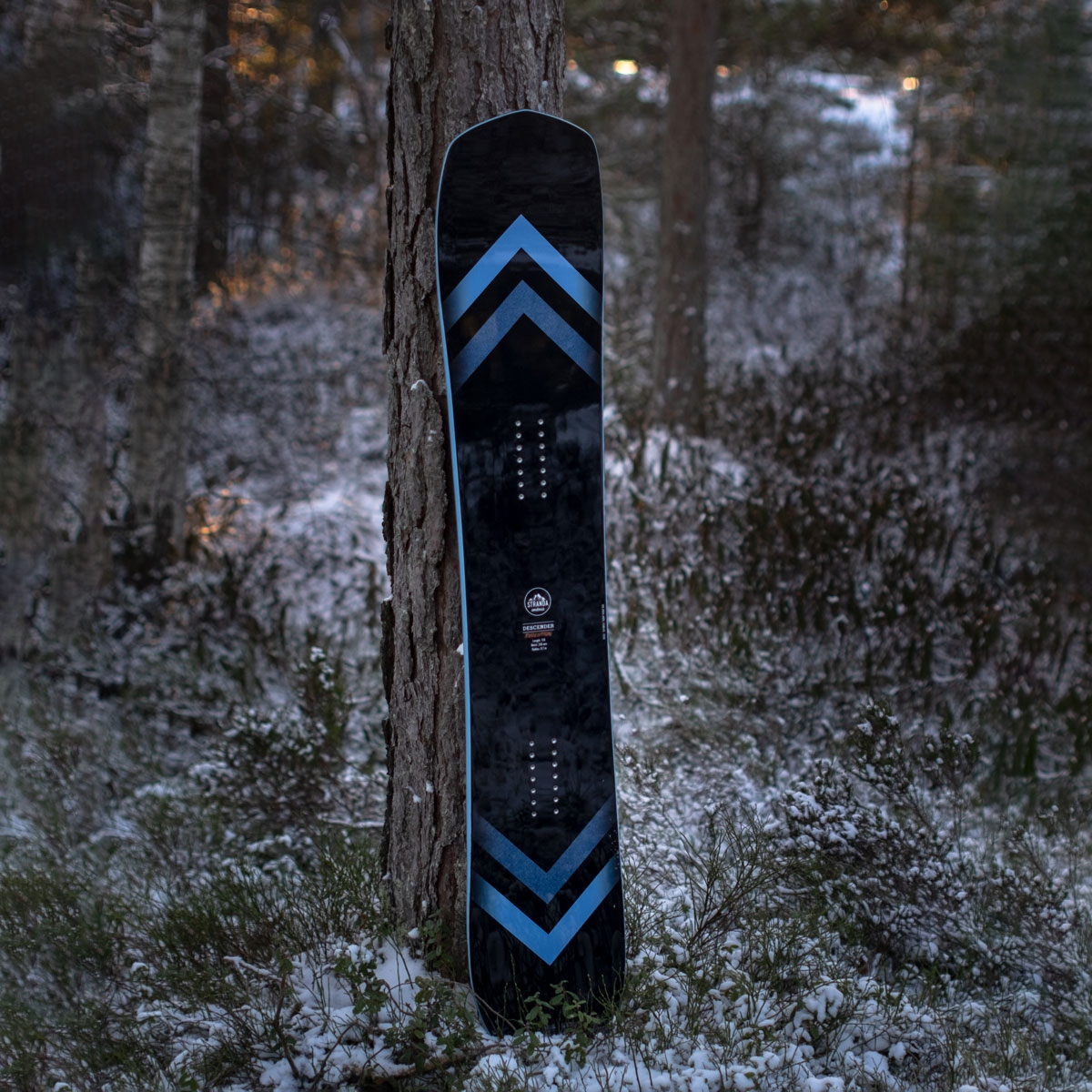 STRANDA Descender EVO 2026 #3